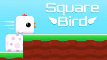 Square Bird img